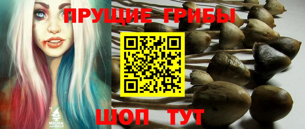 Псилоцибиновые грибы GOLDEN TEACHER Клин