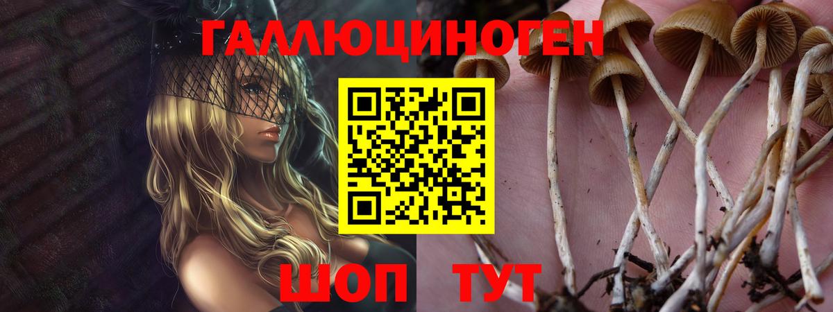 Псилоцибиновые грибы GOLDEN TEACHER  Псилоцибиновые грибы MAGIC MUSHROOMS  Клин  Вход с VPN 